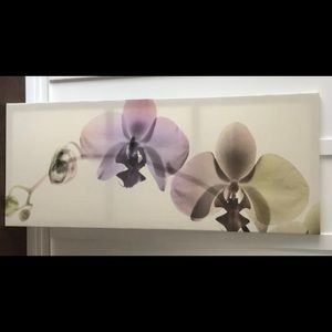 IKEA Orchid Canvas Photo
